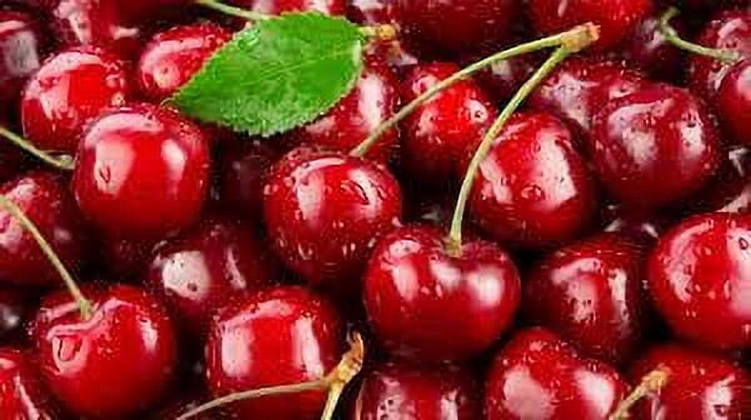 Fresh Red Cherries 2.25 Lb Bag