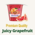 Del Monte No Sugar Added Red Grapefruit Fruit Cup Snack 6.5 Oz