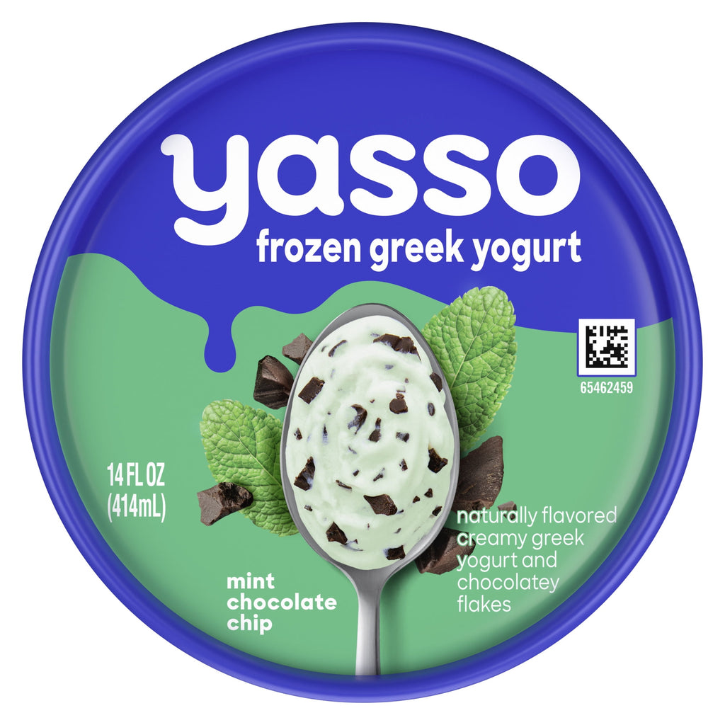 Yasso Mint Chocolate Chip Frozen Greek Yogurt 14 Fl Oz