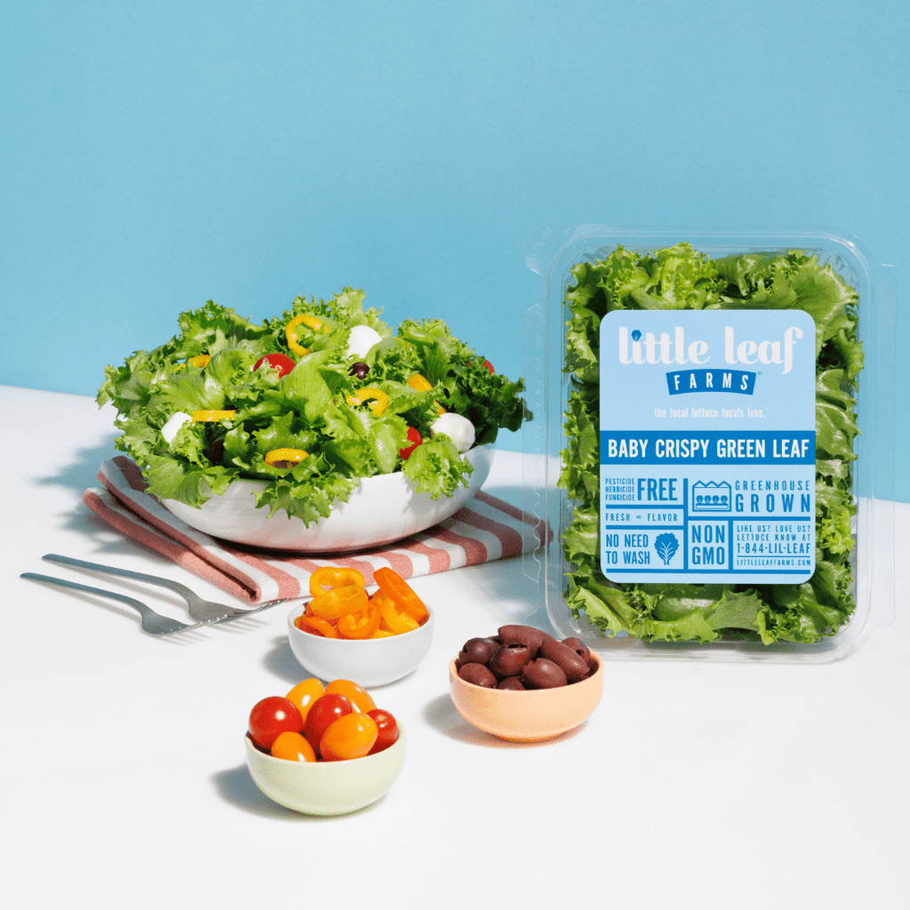 Little Leaf Farms Baby Crispy Green Leaf Salad 4 Oz Clam Shell