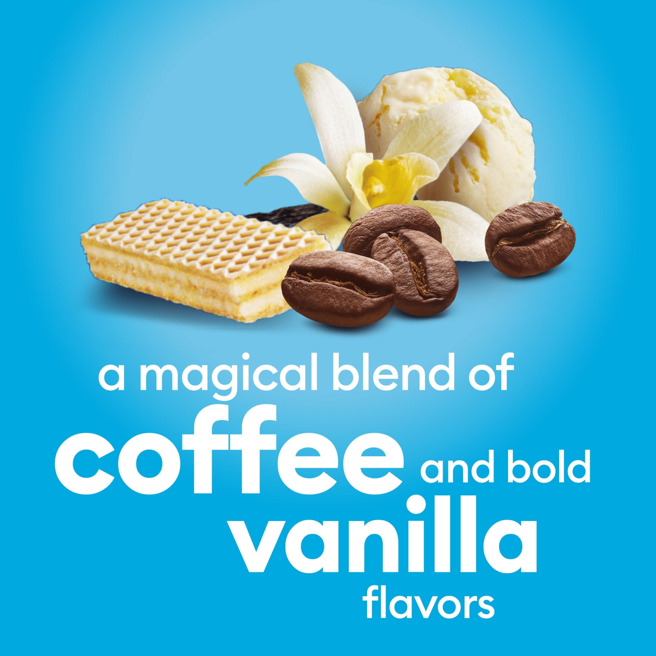 International Delight Vanilla Naturally Caffeinated Medium-Light Roast Iced Coffee 64 fl oz Carton