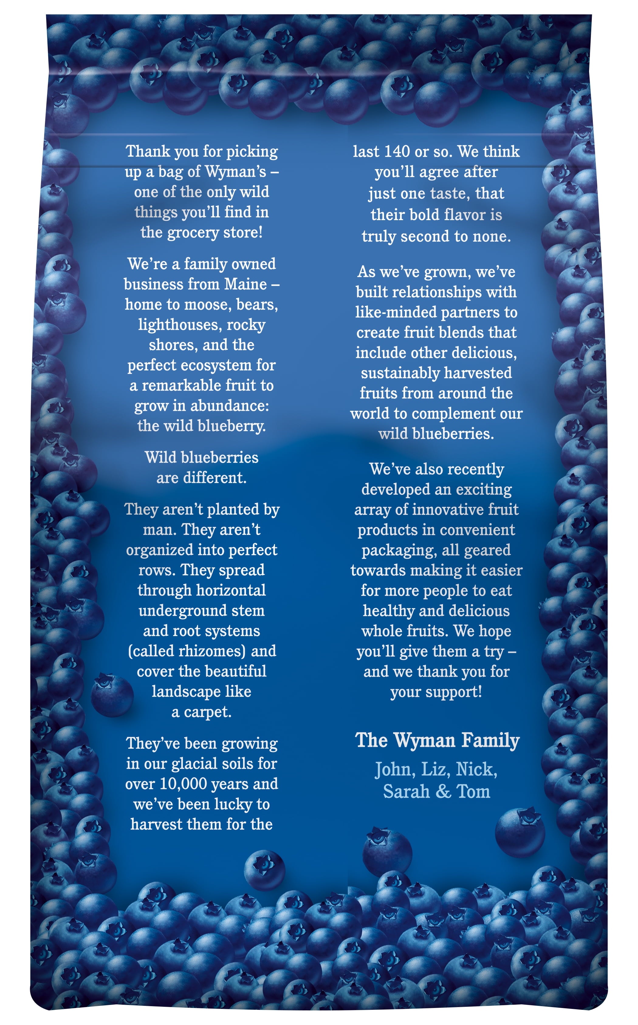 Wyman's Wild Blueberries Frozen 48 Oz