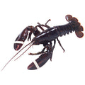 Wegmans Live Lobsters Under 2 Lbs