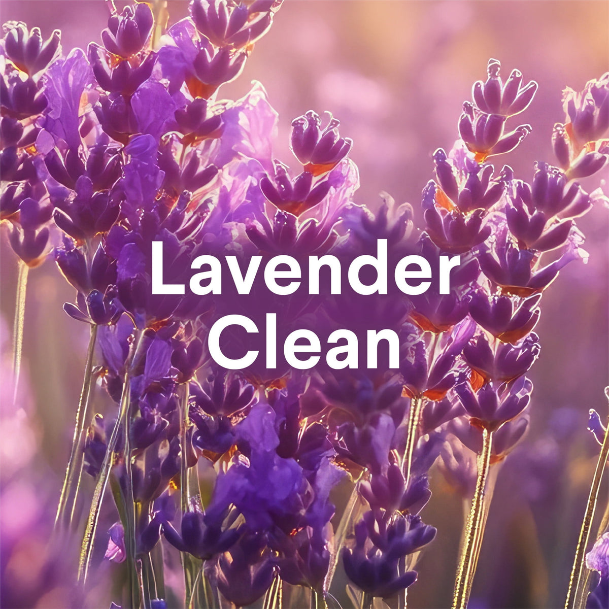 Clorox Foaming Toilet Bomb Bleach Free Lavender Clean 5 Count