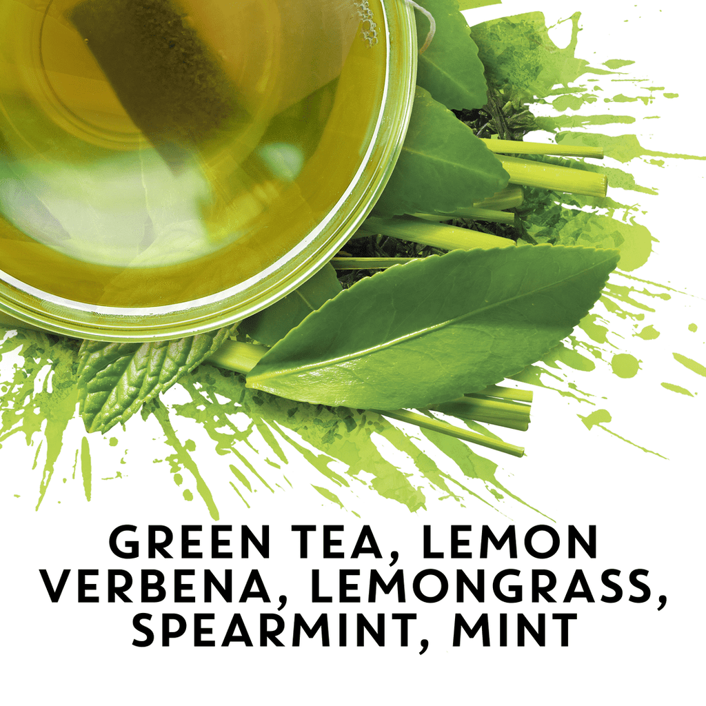 TAZO Regenerative Organic Zen Green Tea Bags 36 Count