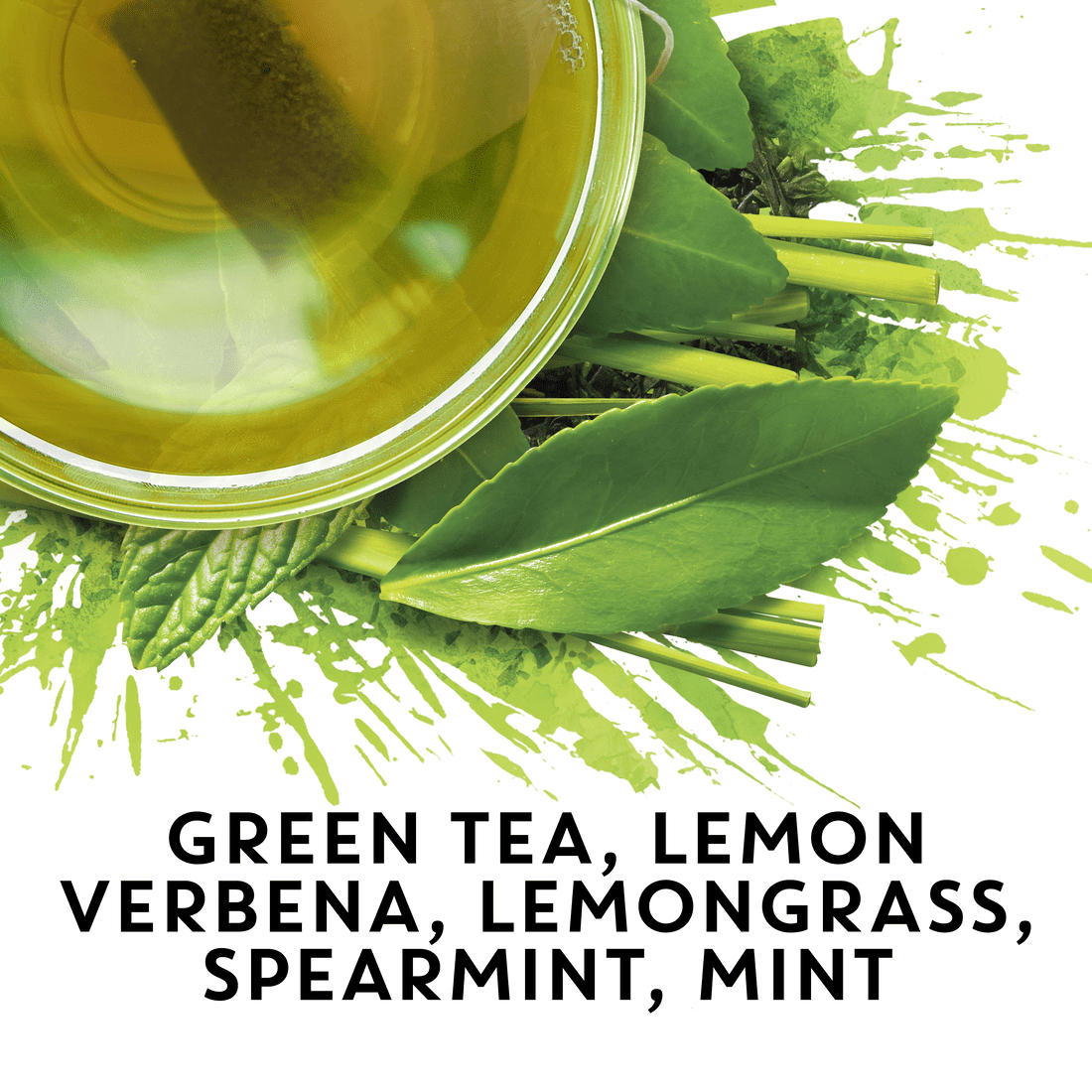TAZO Regenerative Organic Zen Green Tea Bags 36 Count