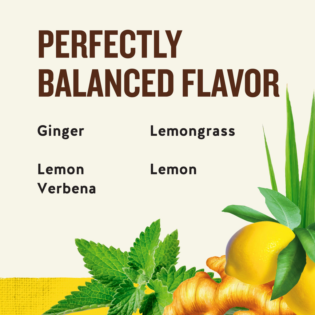 Celestial Seasonings Jammin' Lemon Ginger Caffeine-Free Herbal Tea Bags 1.7 oz 20 Count