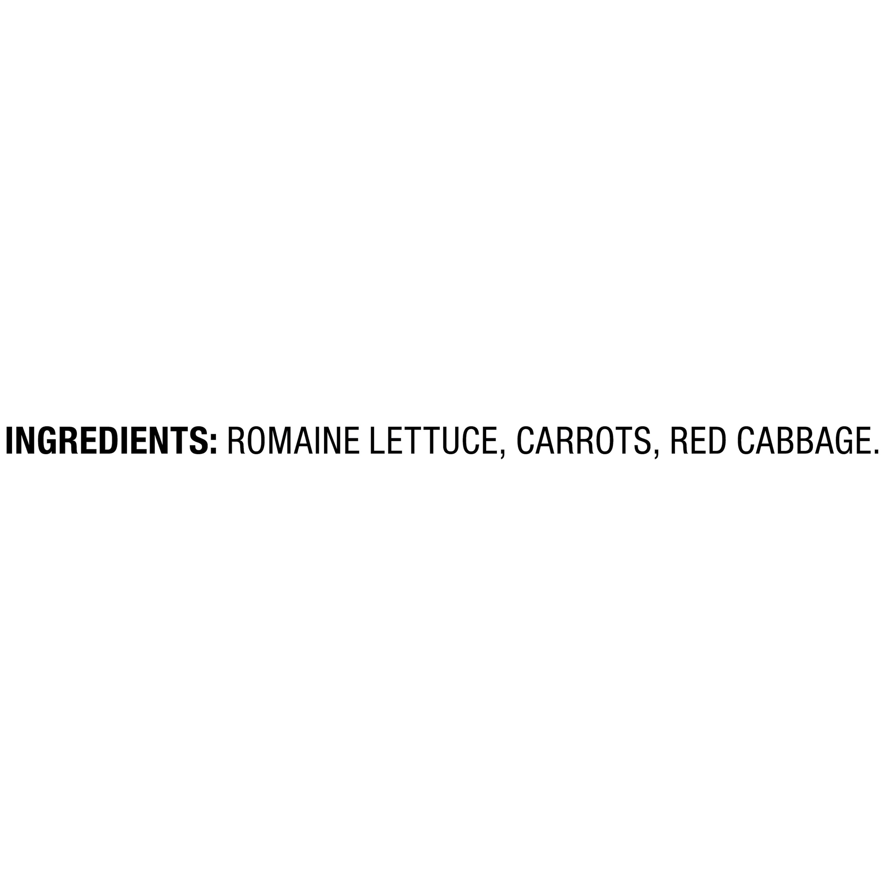Fresh Marketside Premium Romaine Salad Blend 9 Oz Bag