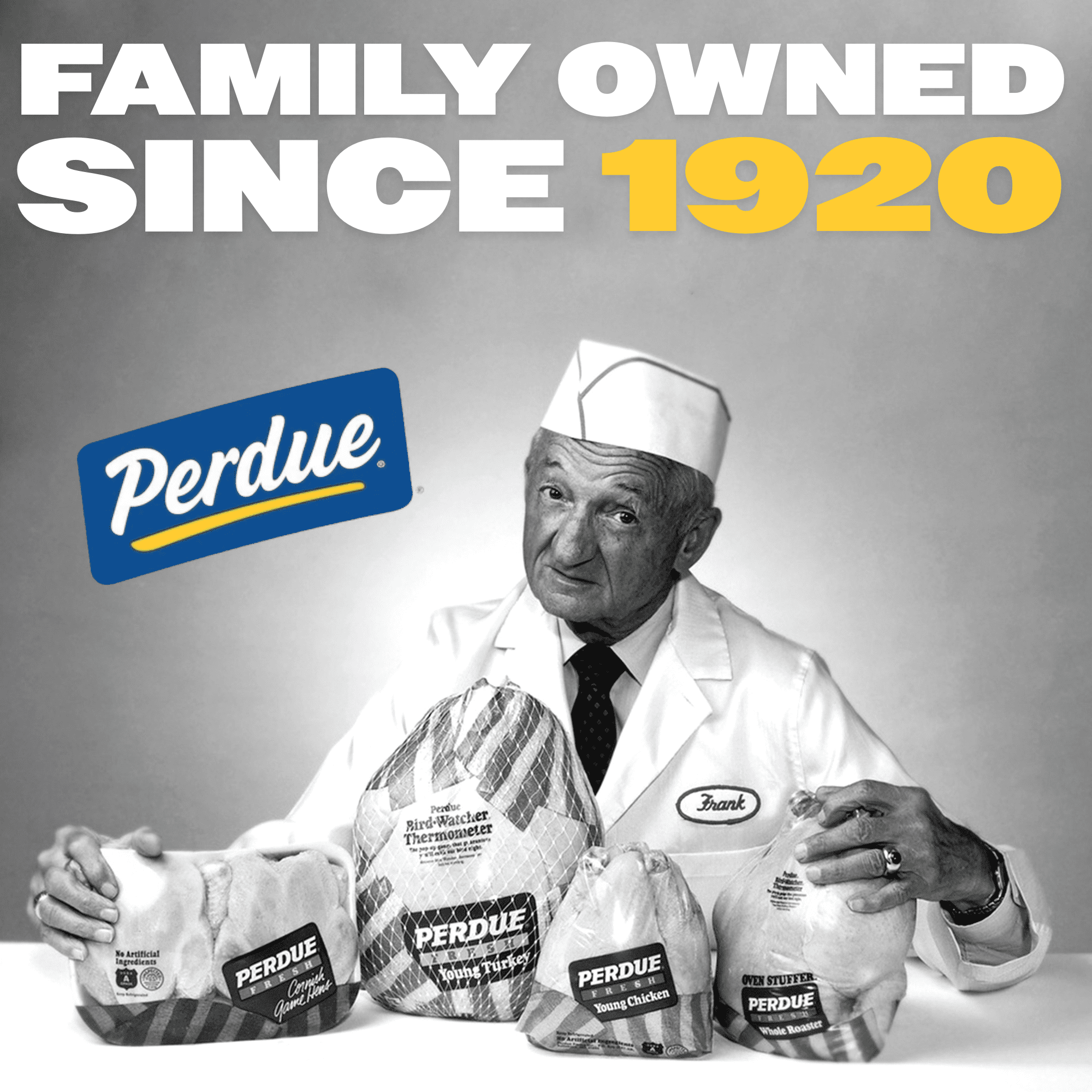 Perdue No Antibiotics Ever Frozen Breaded Chicken Breast Patties 28.8 Oz