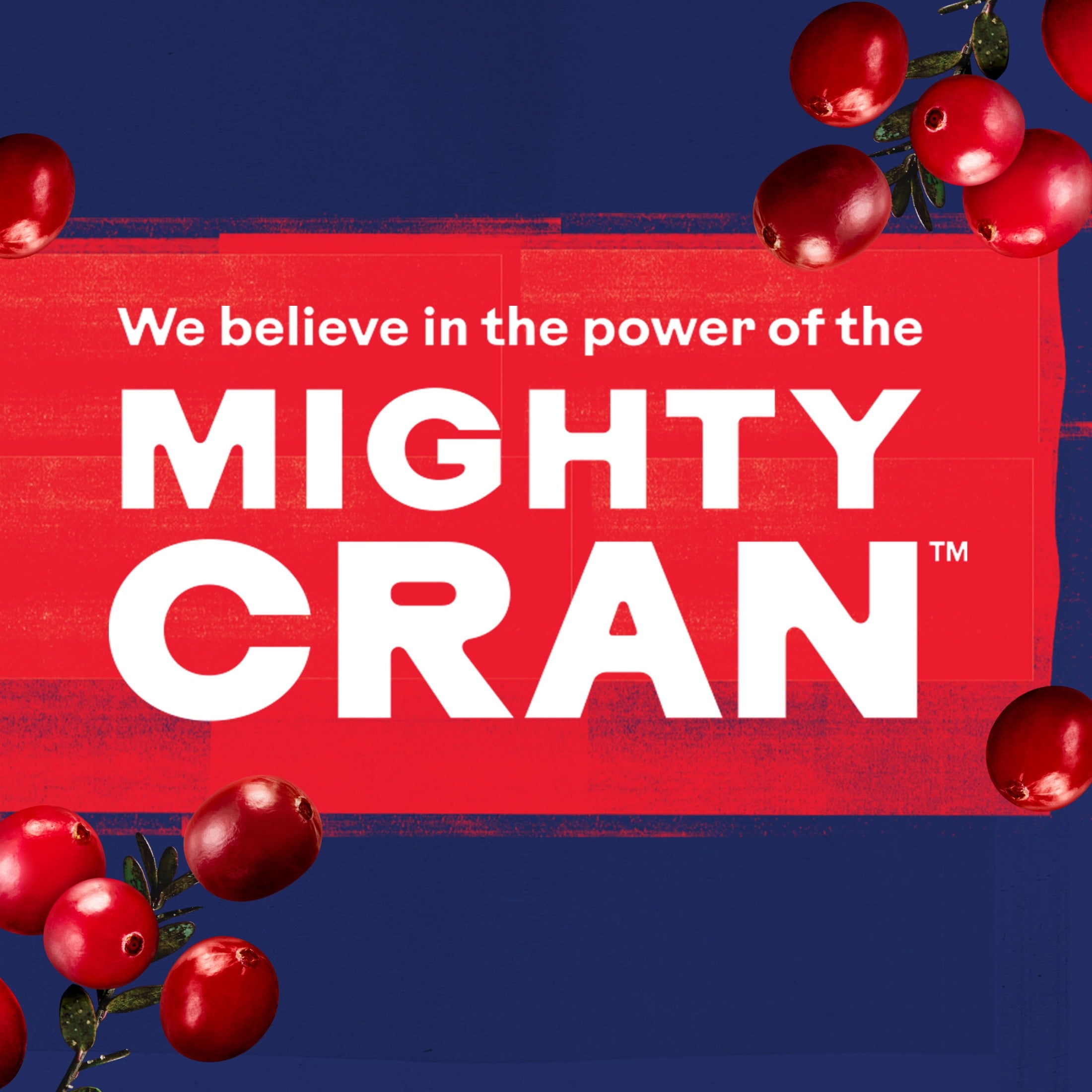 Ocean Spray Cranberry Juice Cocktail 64 fl oz Bottle