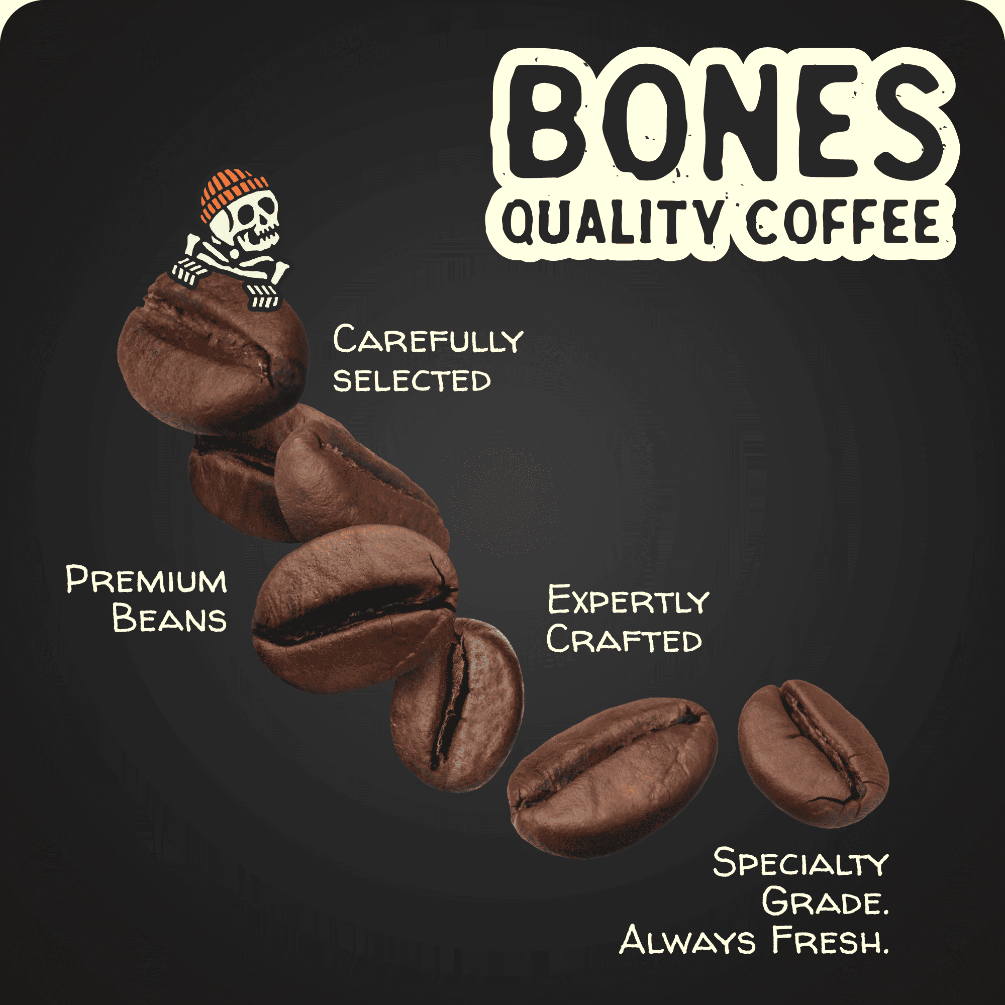 Bones Coffee Company S'mores Naturally Caffeinated Medium Roast Cold Brew Latte 11 fl oz Can