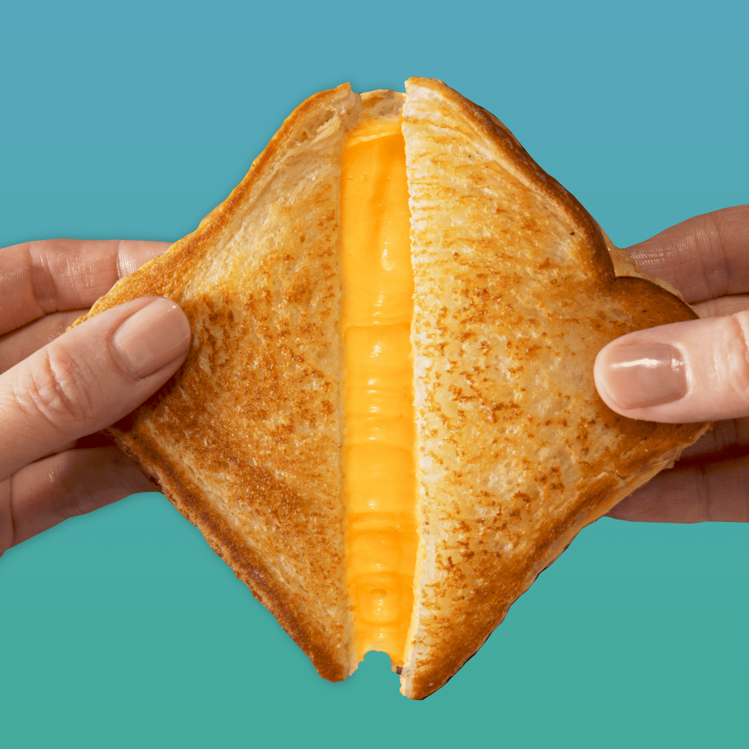 Lily's Toaster Grills American Cheese Sandwich Frozen 6.8 Oz 2 Count