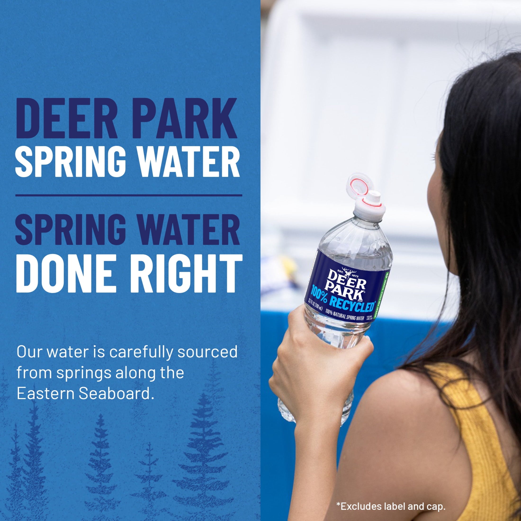 Deer Park Spring Water 16.9 fl oz Plastic Bottles 35 Pack