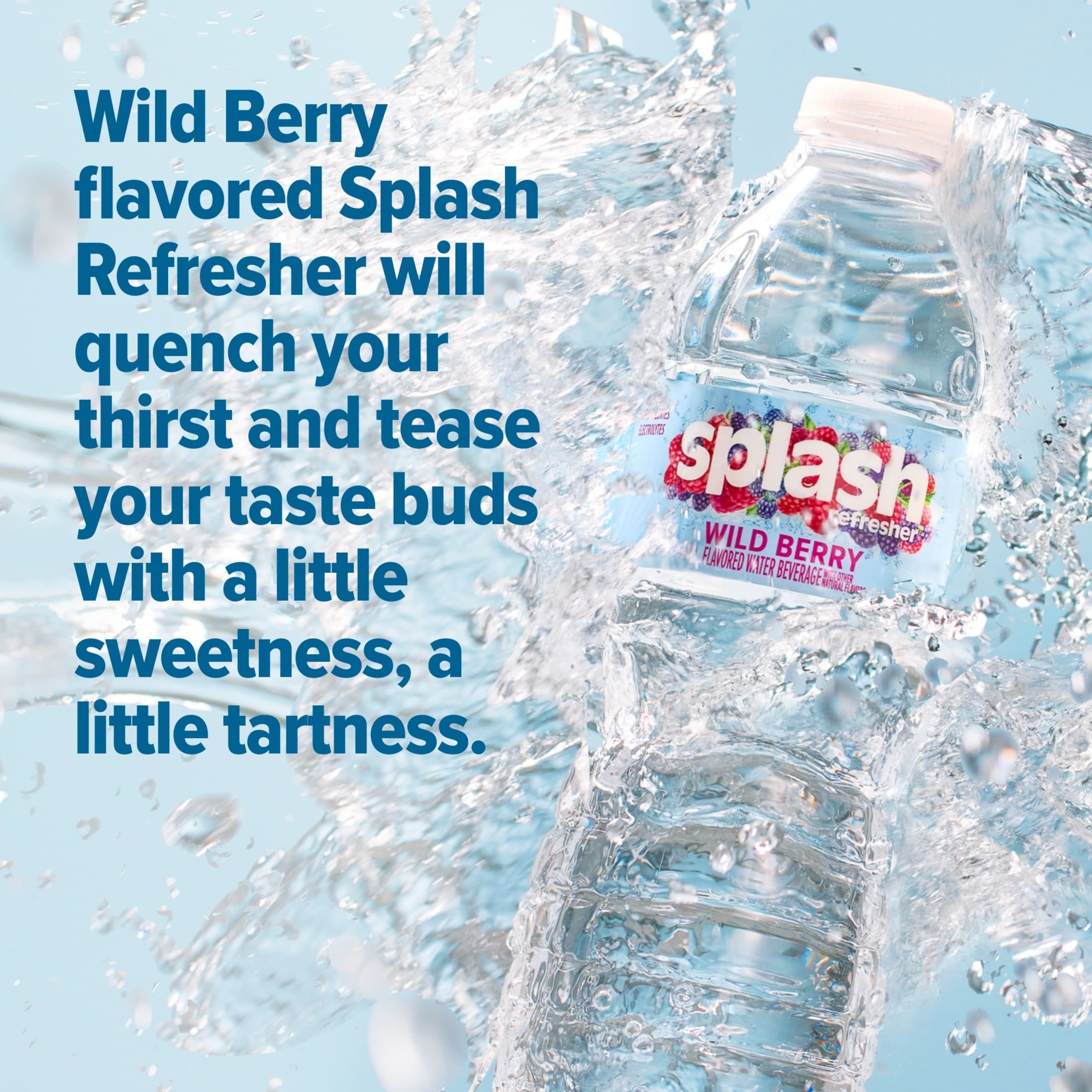 Splash Blast Wild Berry Flavored Water 16.9 fl oz Plastic Bottles 6 Pack