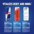 Red Bull Energy Drink Summer Celebration Variety Pack 8.4 fl oz 12 Pack