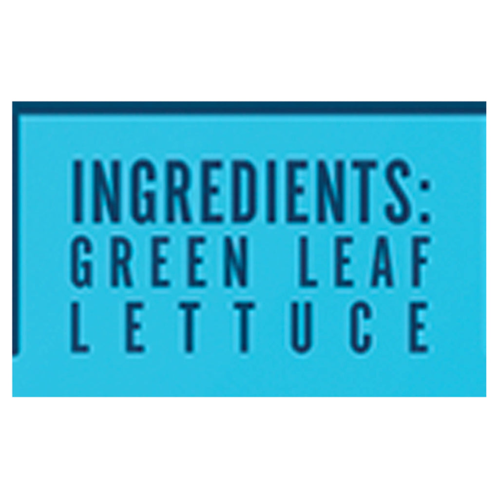 Baby Crispy Green Leaf Lettuce 8 Oz
