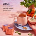 Yogi Sweet Tangerine Positive Energy Organic Black Wellness Tea Bags 16 Count