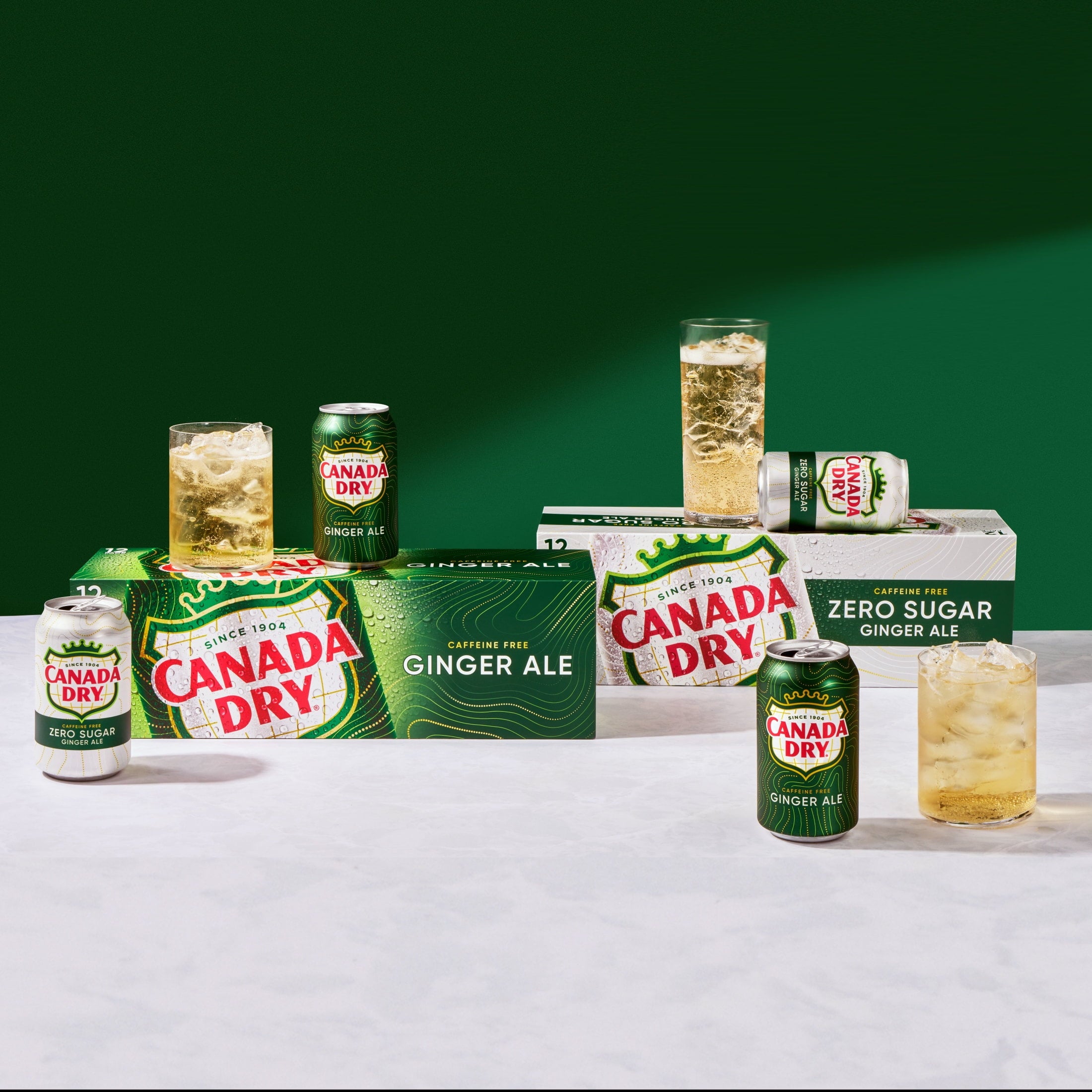 Canada Dry Caffeine Free Ginger Ale Soda Pop Cans 12 Fl Oz 12 Pack