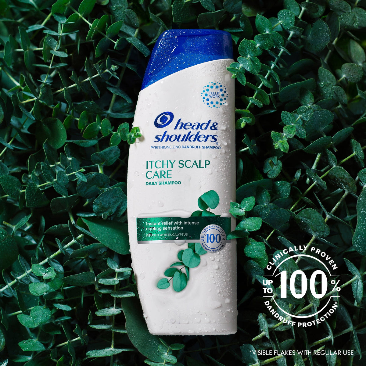 Head & Shoulders Itchy Scalp Care Dandruff Shampoo Eucalyptus 12.5 fl oz