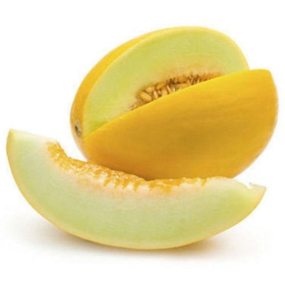 Fresh Golden Melon Honeydew Each 1 Count