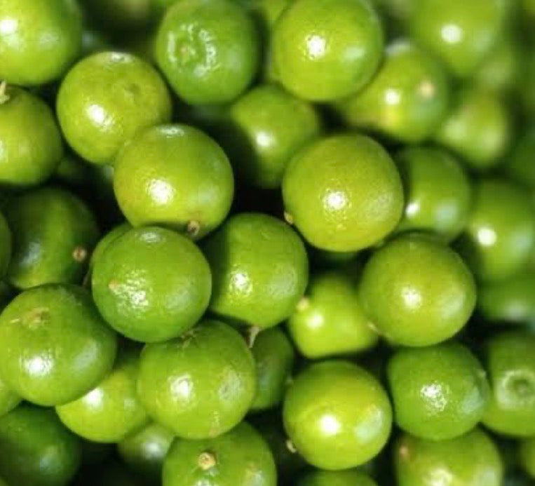 Fresh Key Limes-Each