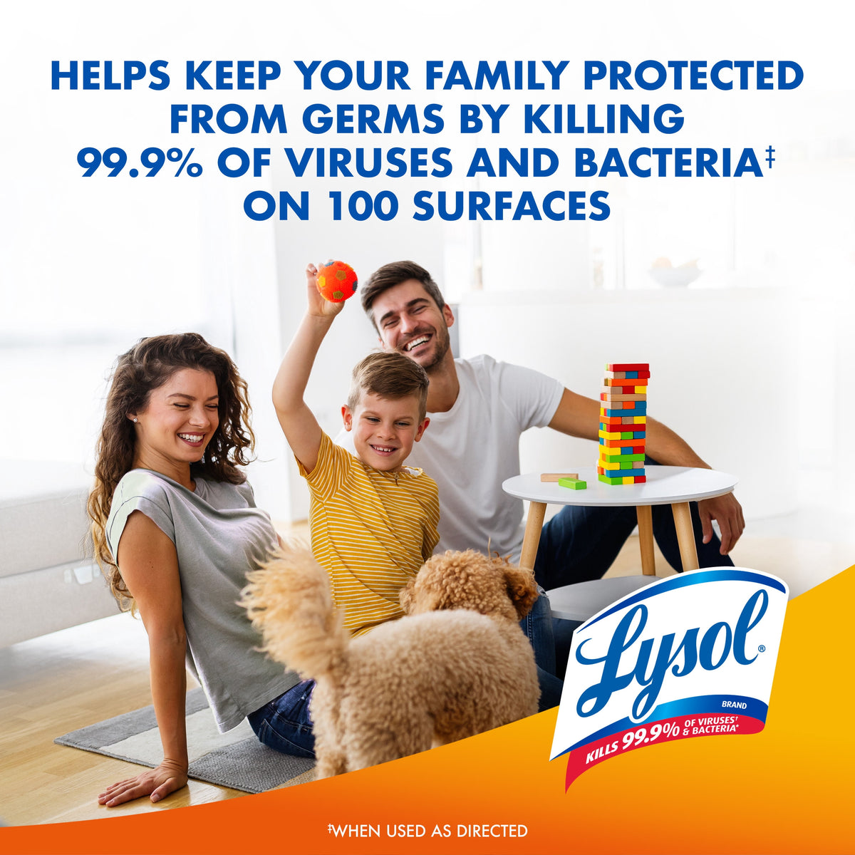 Lysol Brand New Day Disinfectant Spray Mango & Hibiscus 19 oz