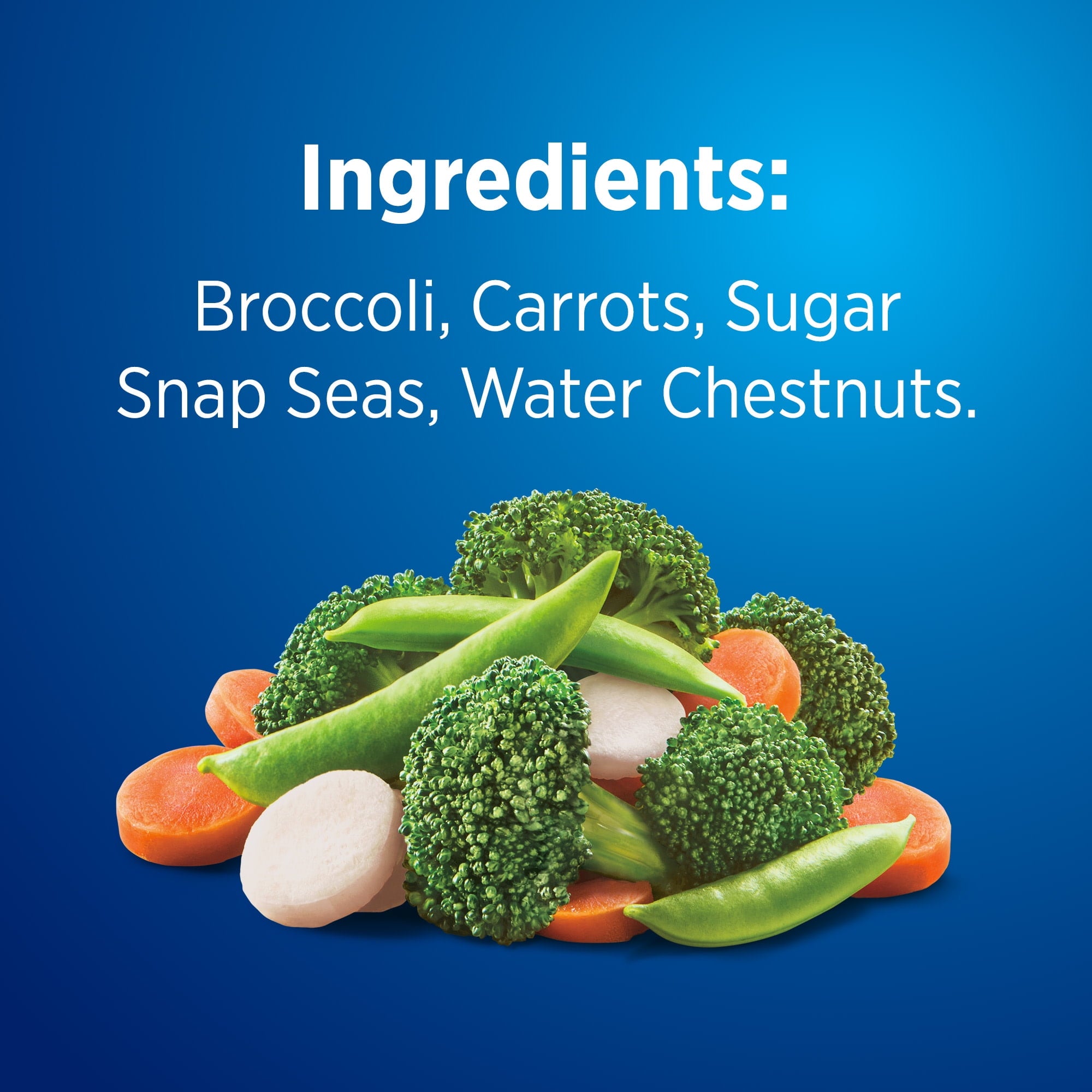 Birds Eye Steamfresh Broccoli Carrots Sugar Snap Peas Water Chestnuts Frozen 10.8 Oz