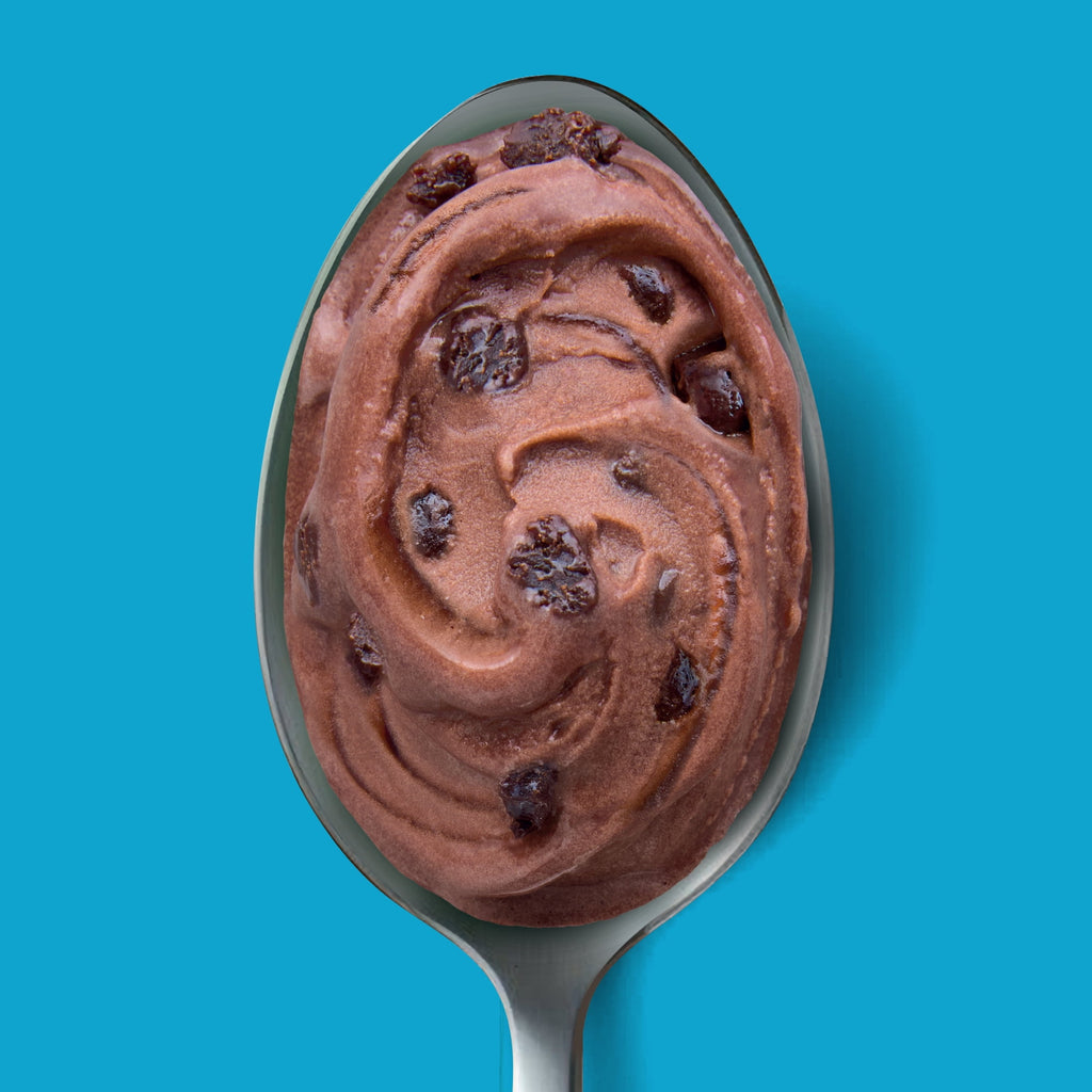 Yasso Fudge Brownie Frozen Greek Yogurt 14 Fl Oz