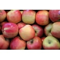 Fresh Pink Lady Apples Each