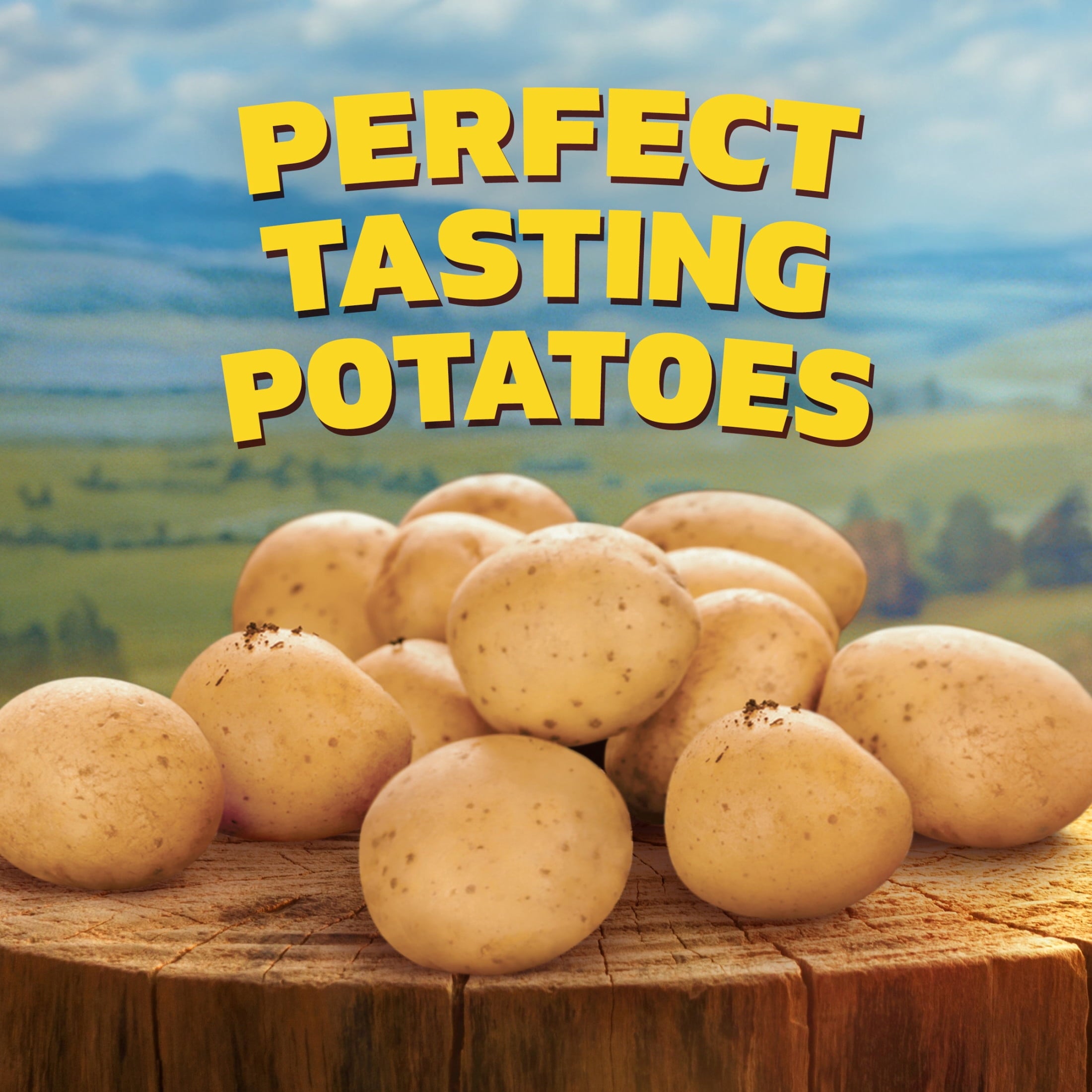 Ore-Ida Classic Steak Fries Frozen French Fried Potatoes 28 Oz