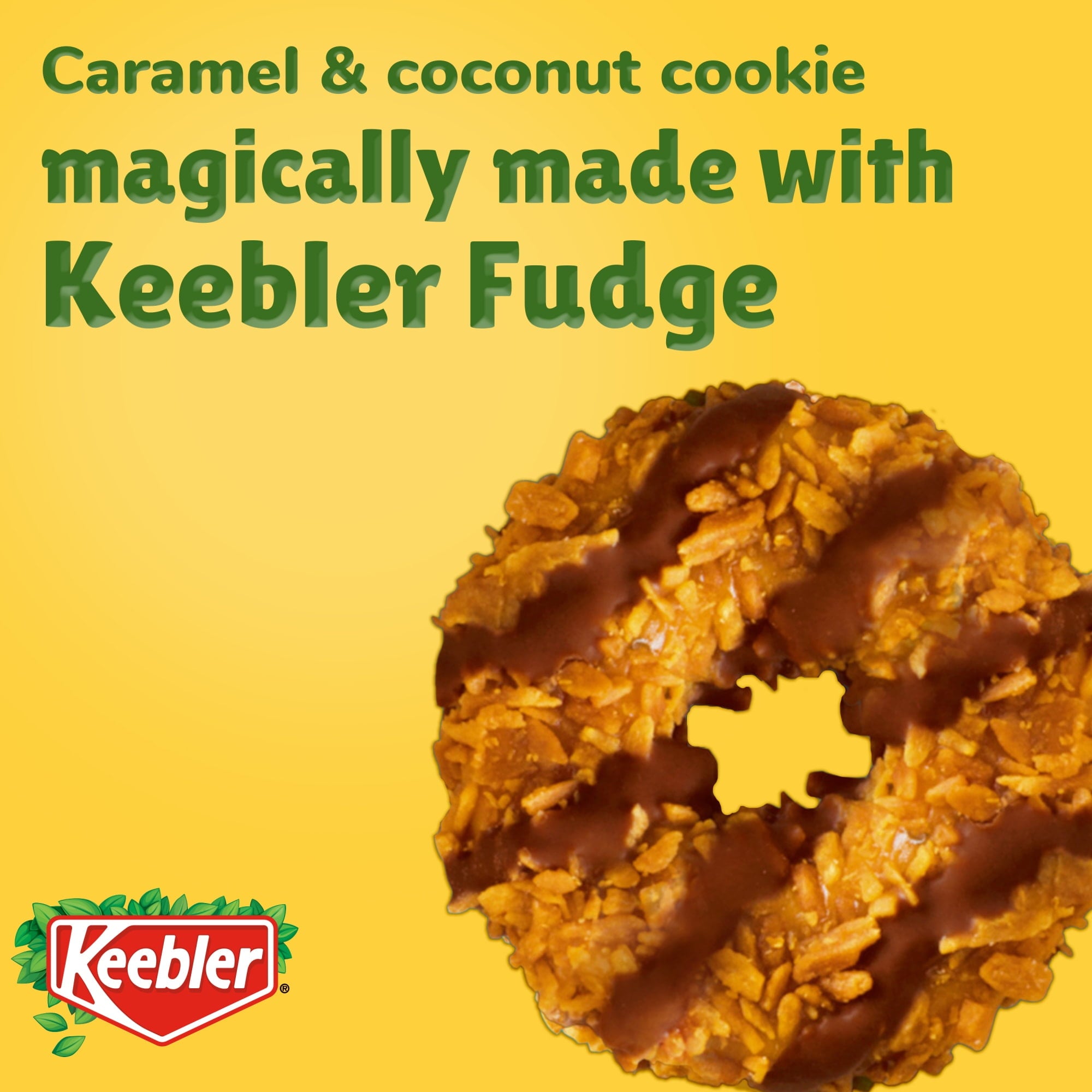 Coconut Dreams Cookies 8.5 Oz 1 Count Keebler