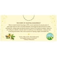 Celestial Seasonings Fireside Vanilla Spice Caffeine-Free Herbal Tea Bags 20 Count