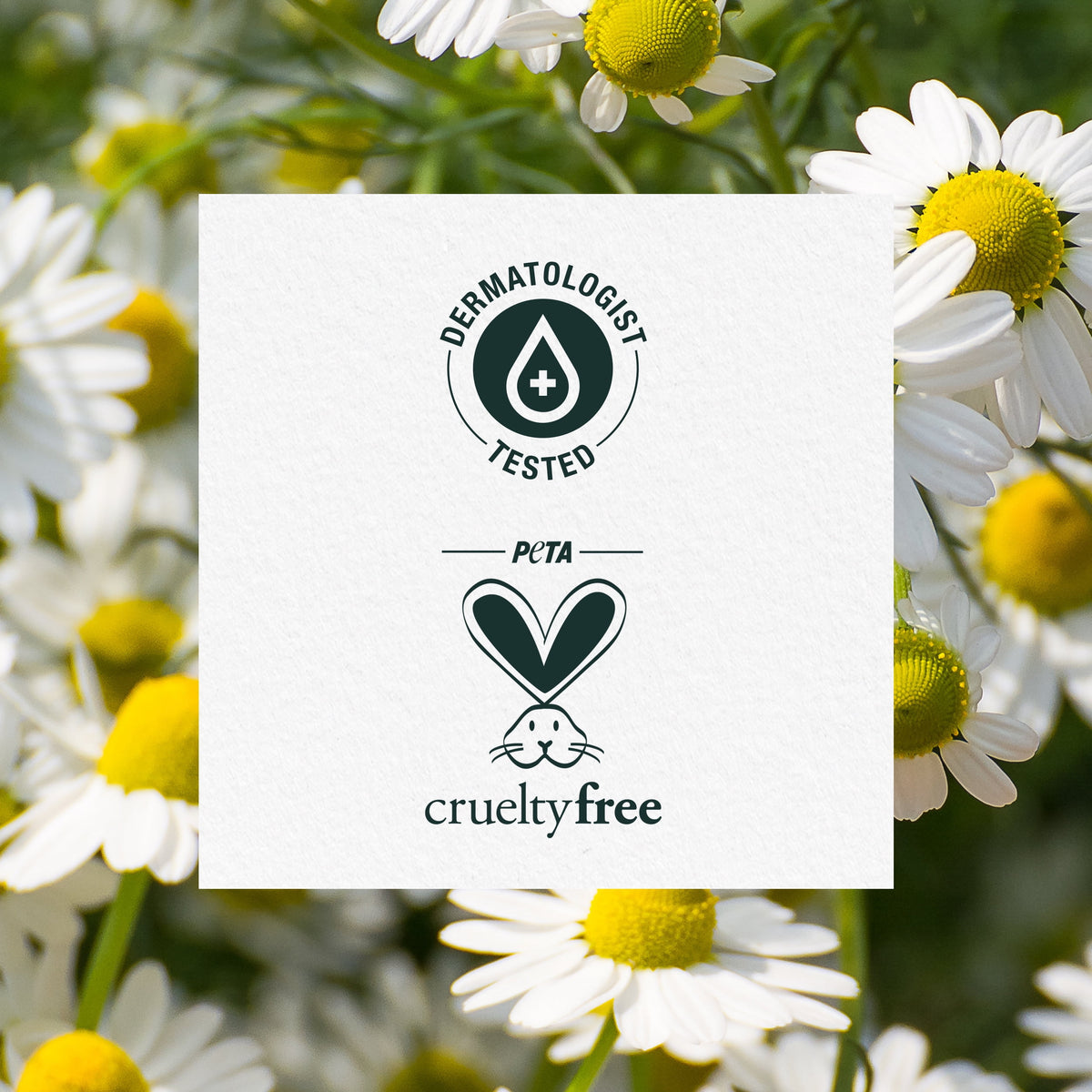 Herbal Essences Shine Shampoo Chamomile For Fine Hair 13.5 fl oz