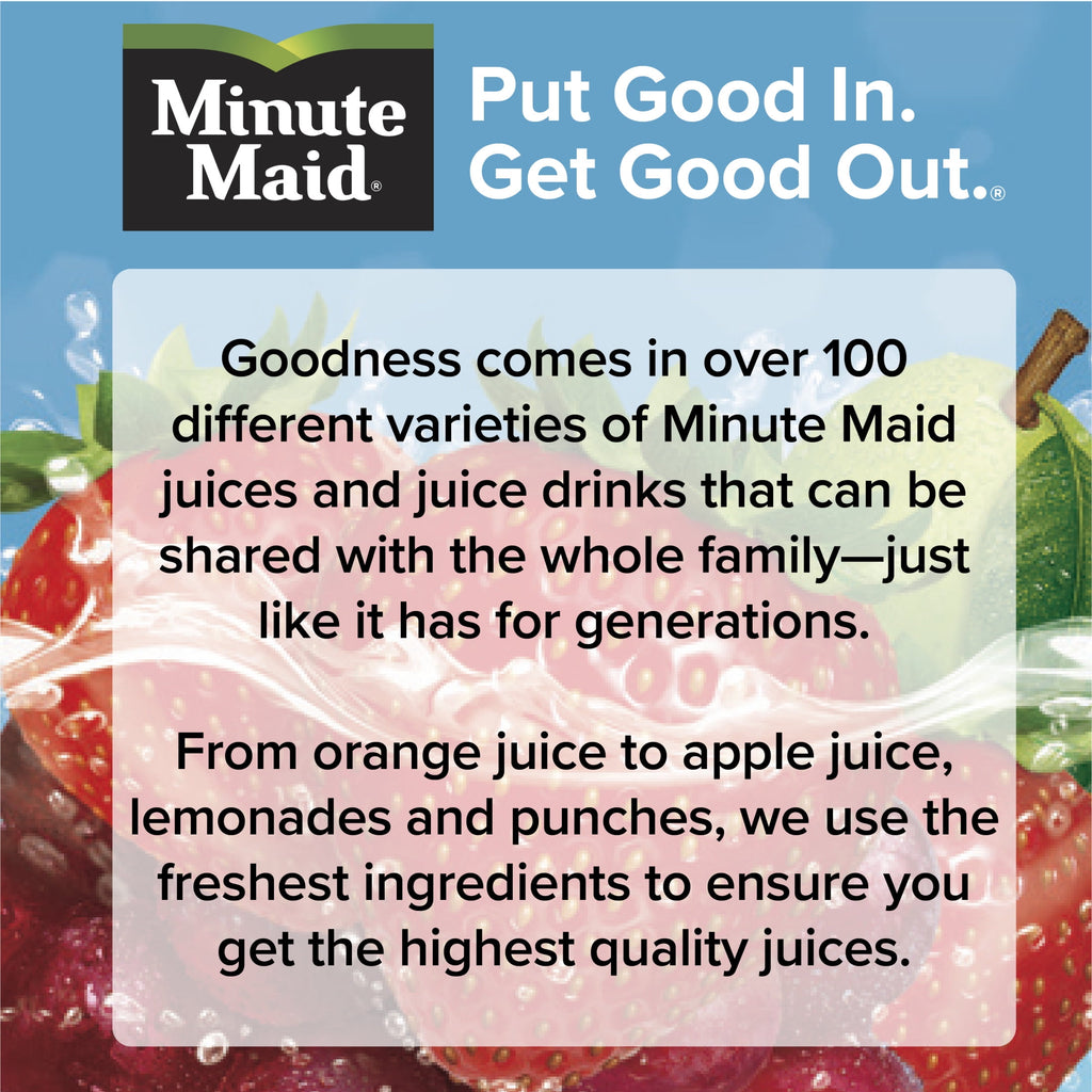Minute Maid 100% Apple Juice Pulp-Free 10 fl oz 6 Pack