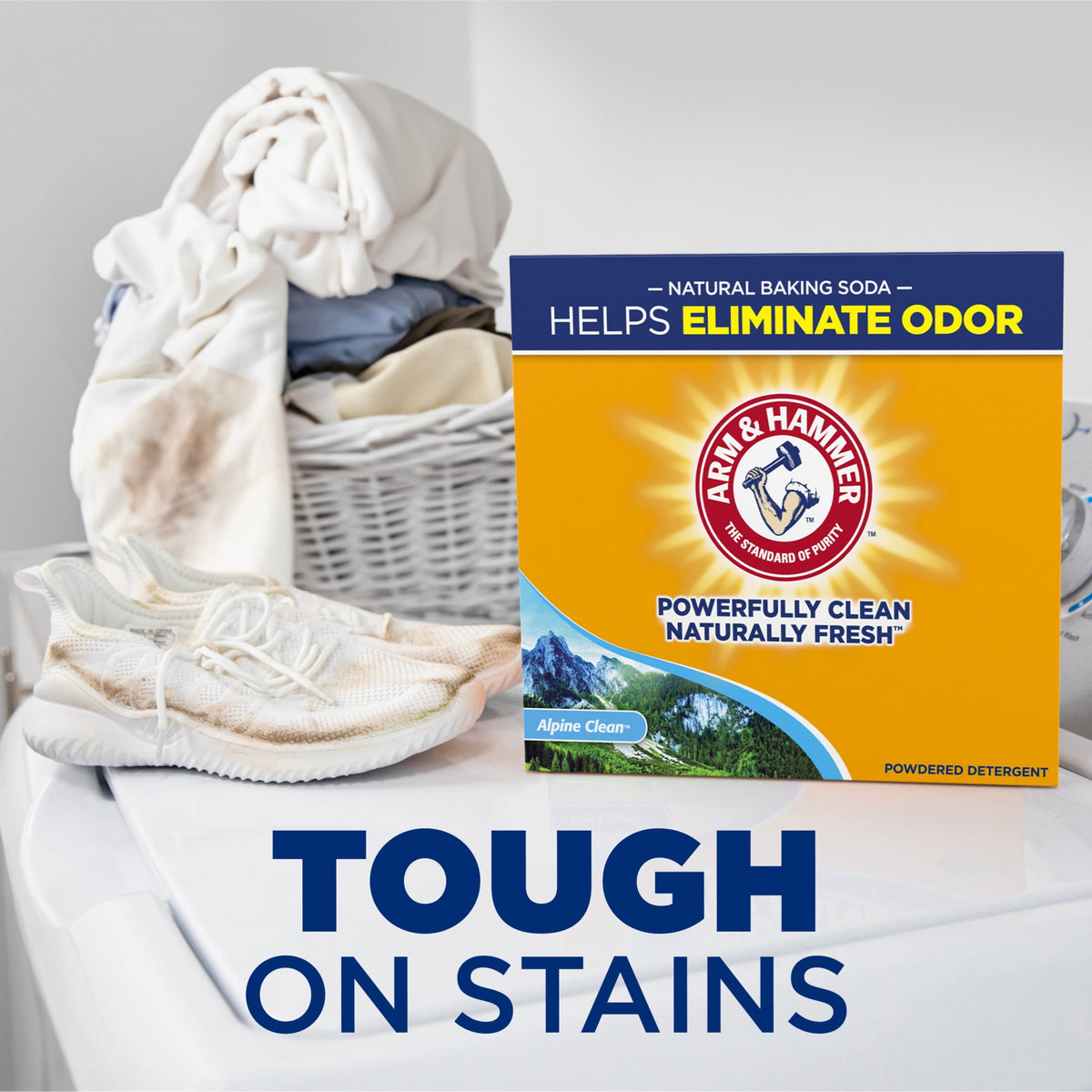 ARM & HAMMER Powder Laundry Detergent Alpine Clean 9.56 lb 155 Loads