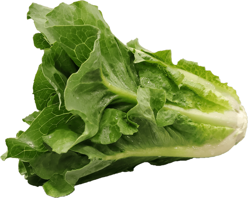 Fresh Romaine Lettuce 1 Count
