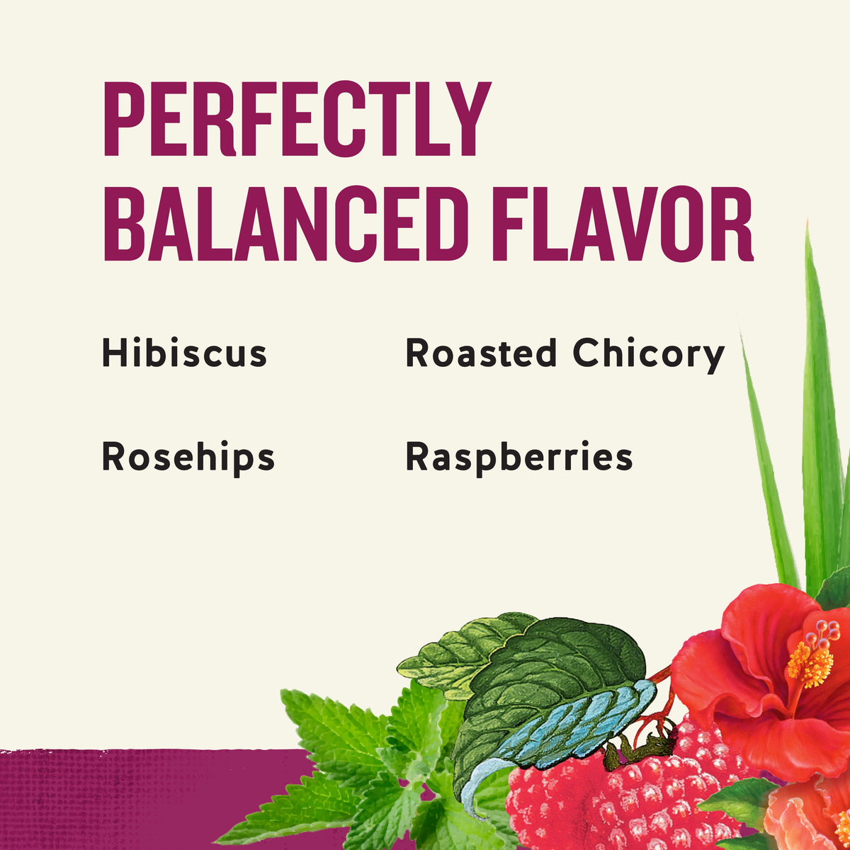 Celestial Seasonings Raspberry Zinger Caffeine-Free Herbal Tea Bags 1.7 oz 20 Count