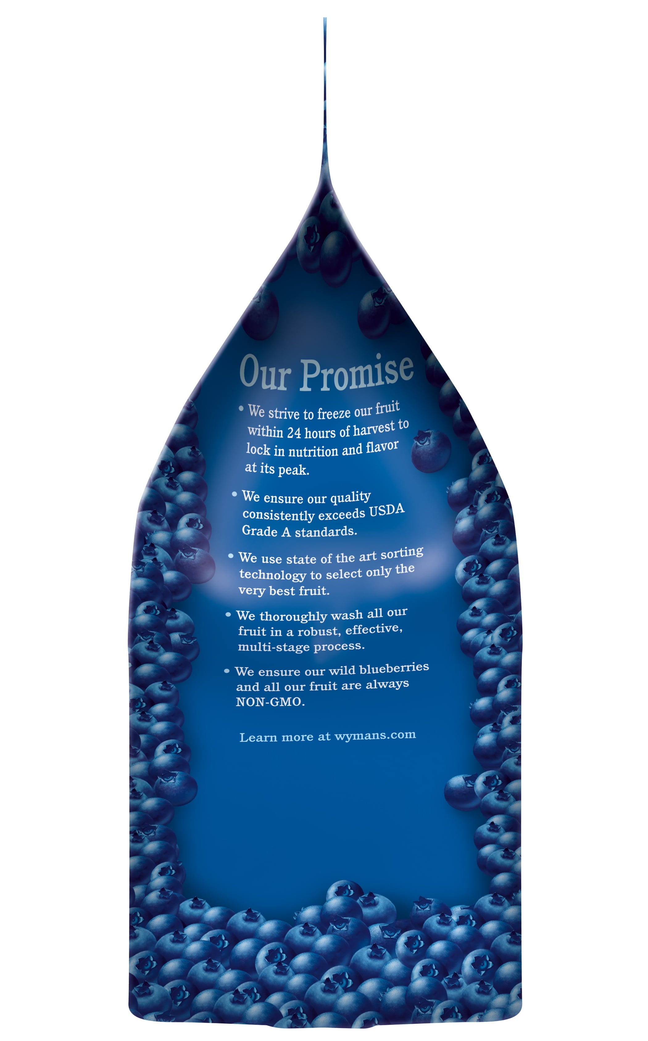 Wyman's Wild Blueberries Frozen 48 Oz