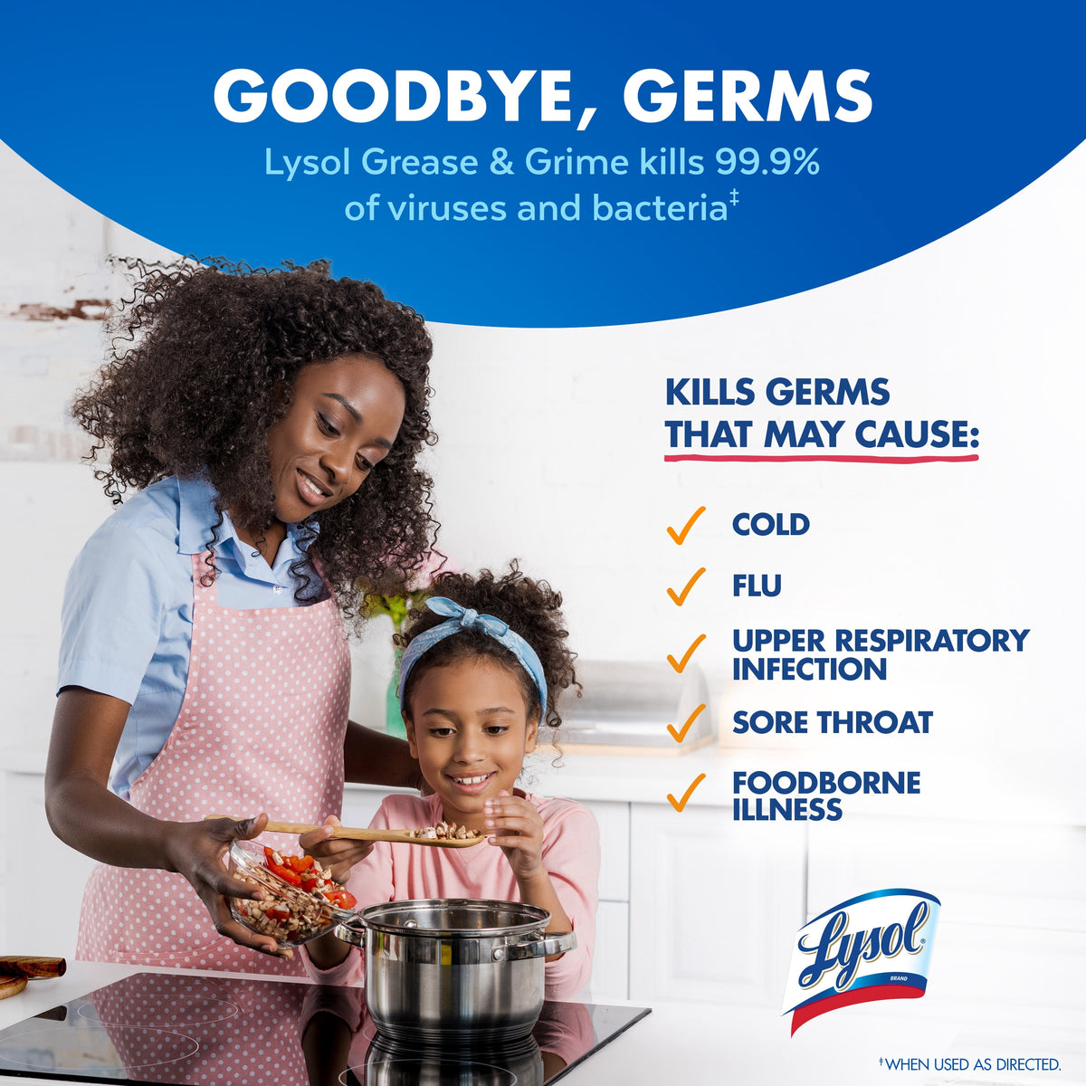 Lysol Kitchen Pro Antibacterial Cleaner Citrus 22 fl oz