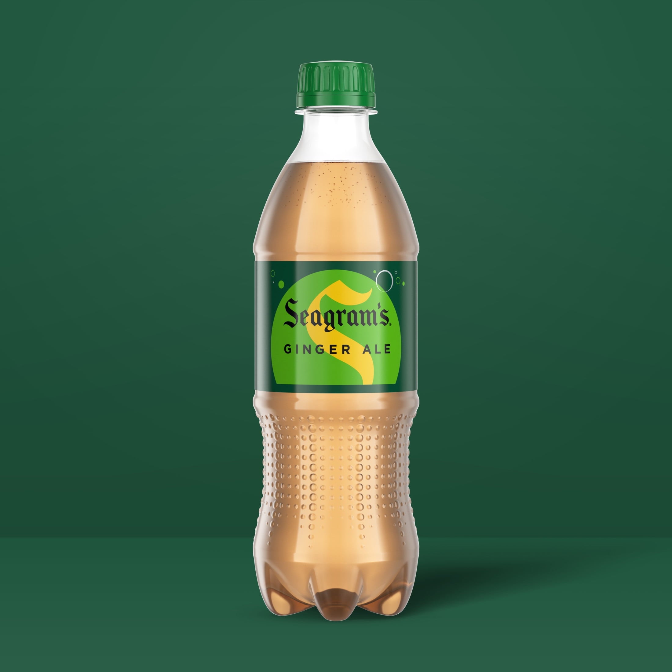 Seagram's Ginger Ale Soda Pop Bottles 16.9 Fl Oz 6 Pack