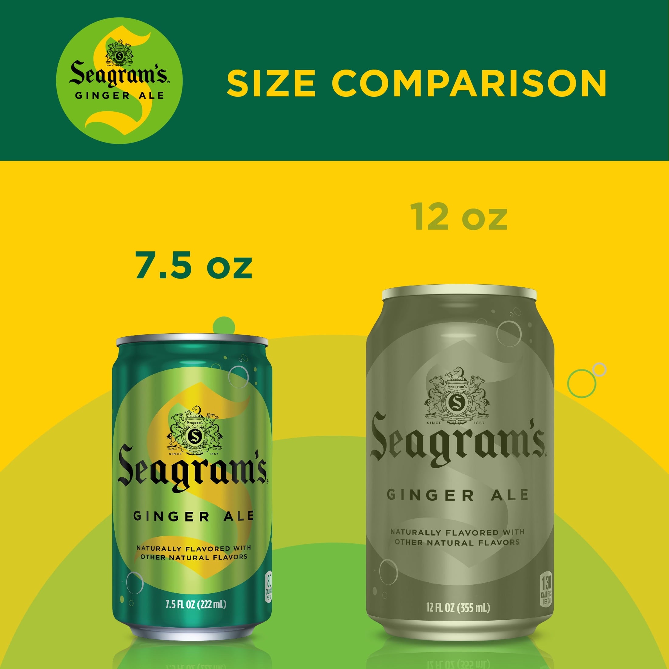 Seagram's Ginger Ale Soda Pop Mini Cans 7.5 Fl Oz 10 Pack