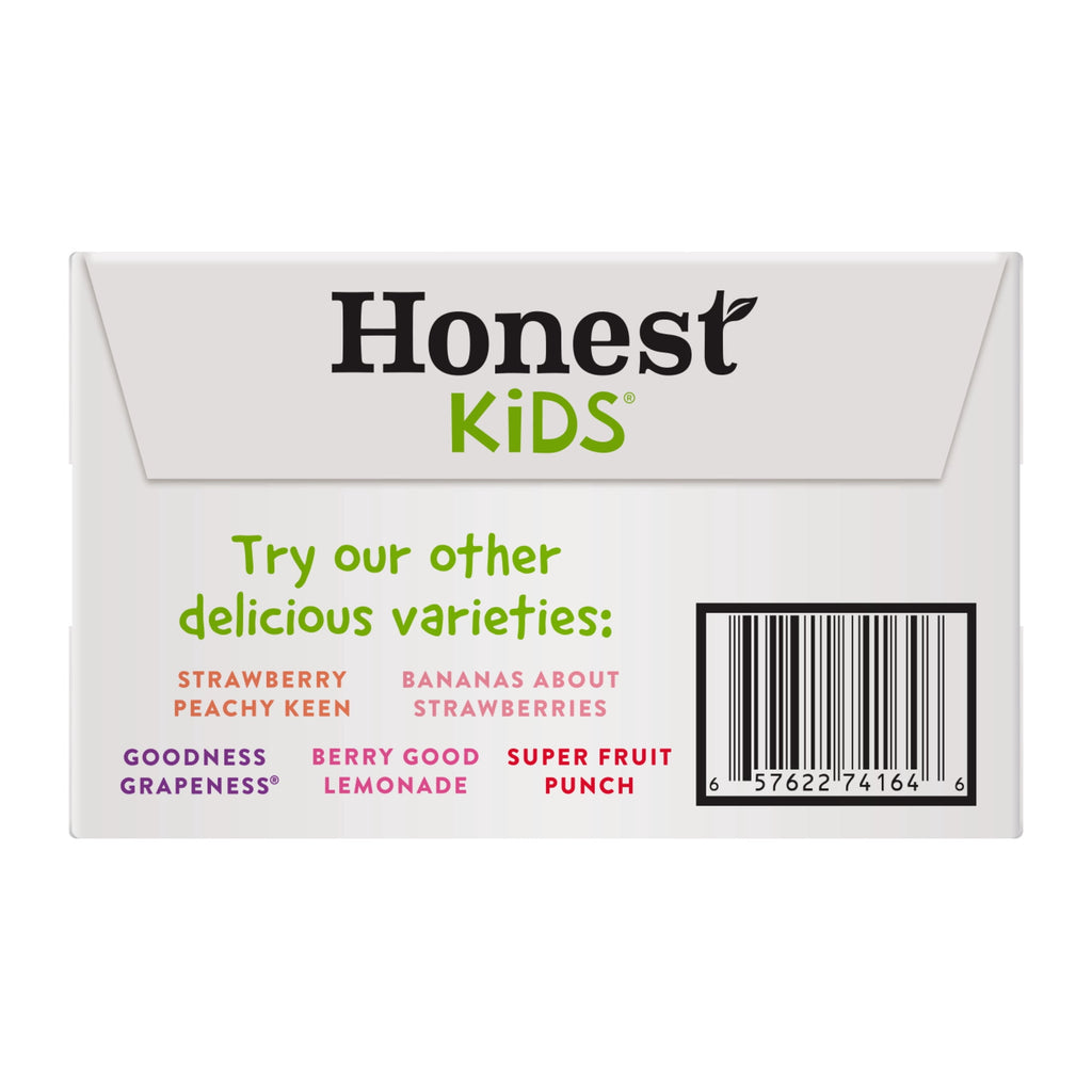 Honest Kids Appley Ever After Organic Juice Drink Cartons 6 fl oz 20 Pack