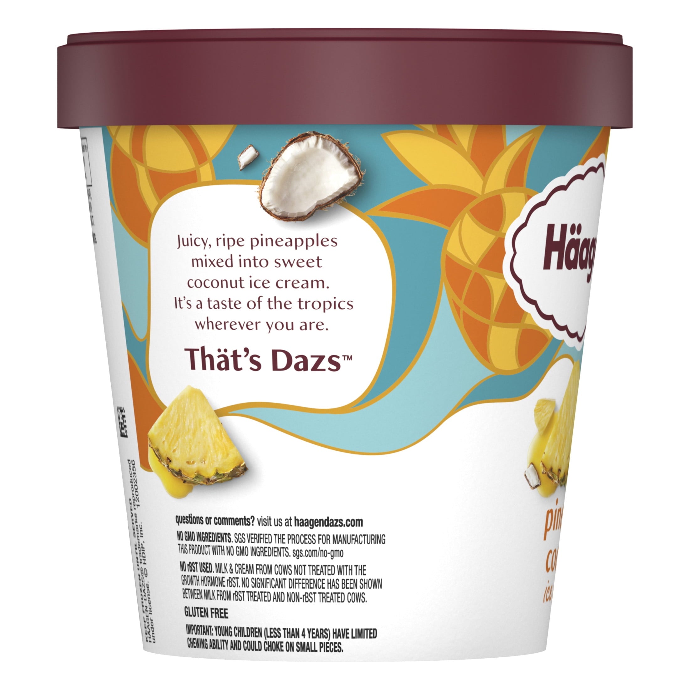 Häagen-Dazs Pineapple Coconut Ice Cream 14 Fl Oz