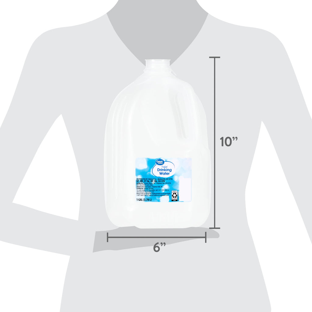 Great Value Purified Drinking Water 1 gal Single Jug