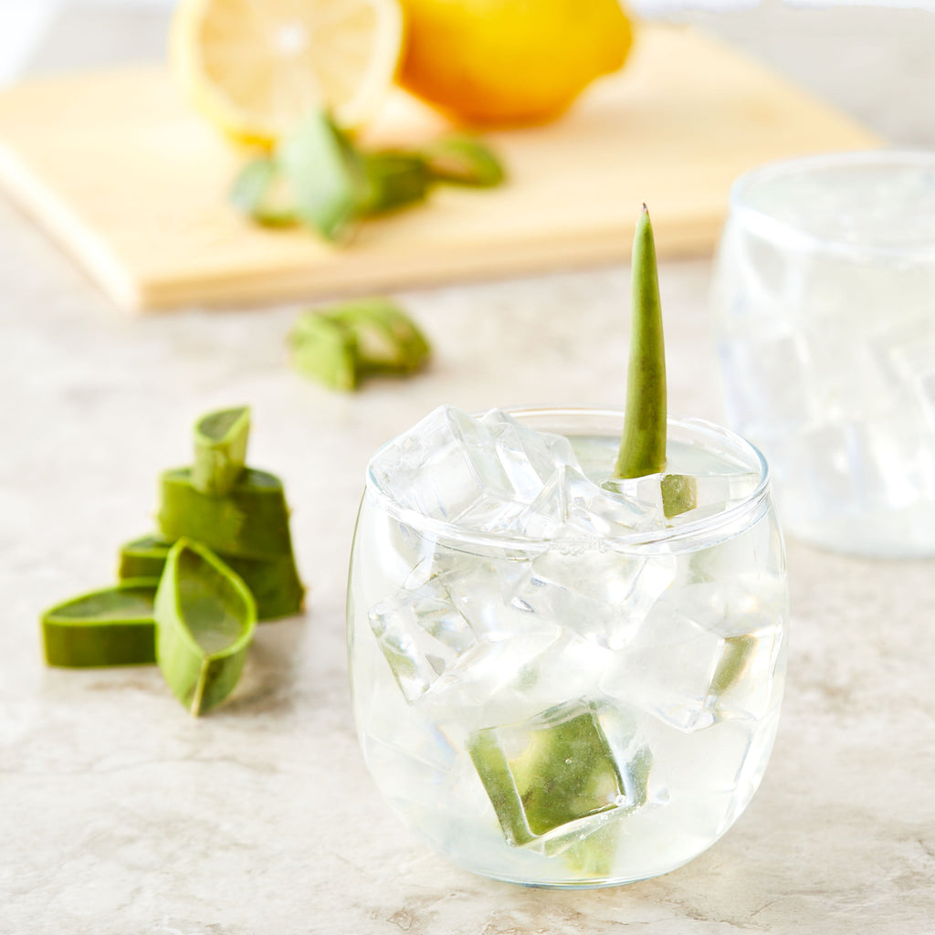 Fresh Aloe Leaf Each