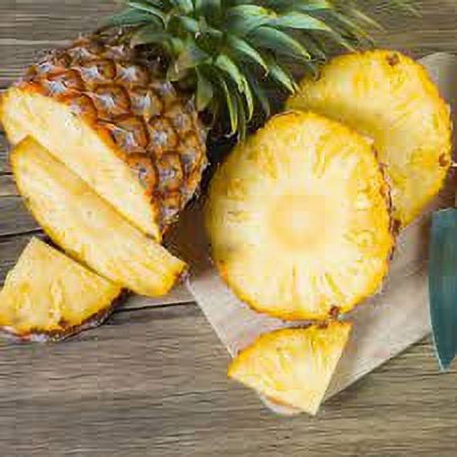 Fresh Gold Pineapple Each 1 Count