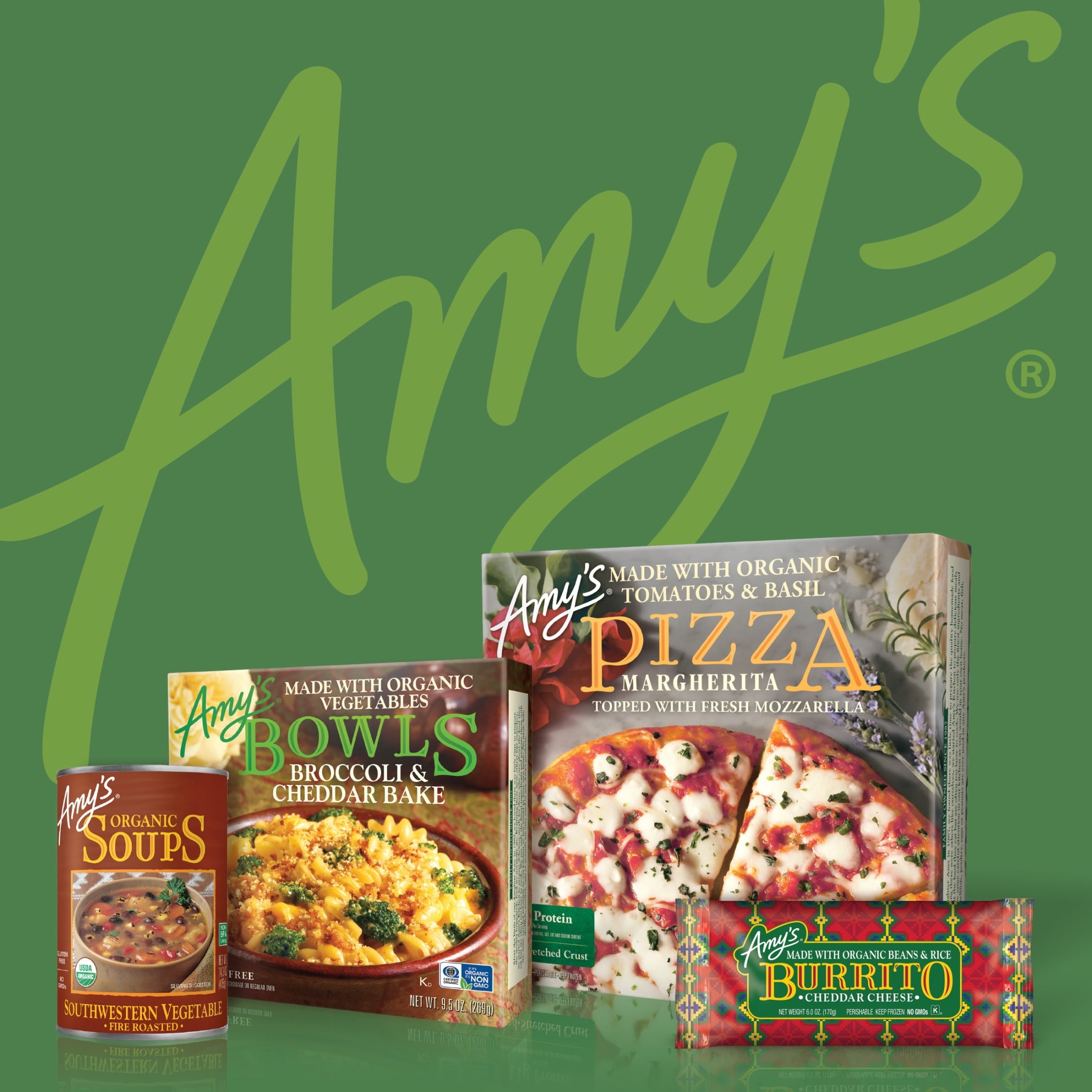 Amy's Kitchen Pad Thai Frozen Meal 9.5 Oz