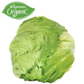 Wegmans Organic Iceberg Lettuce