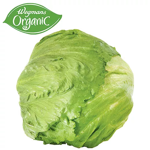 Wegmans Organic Iceberg Lettuce