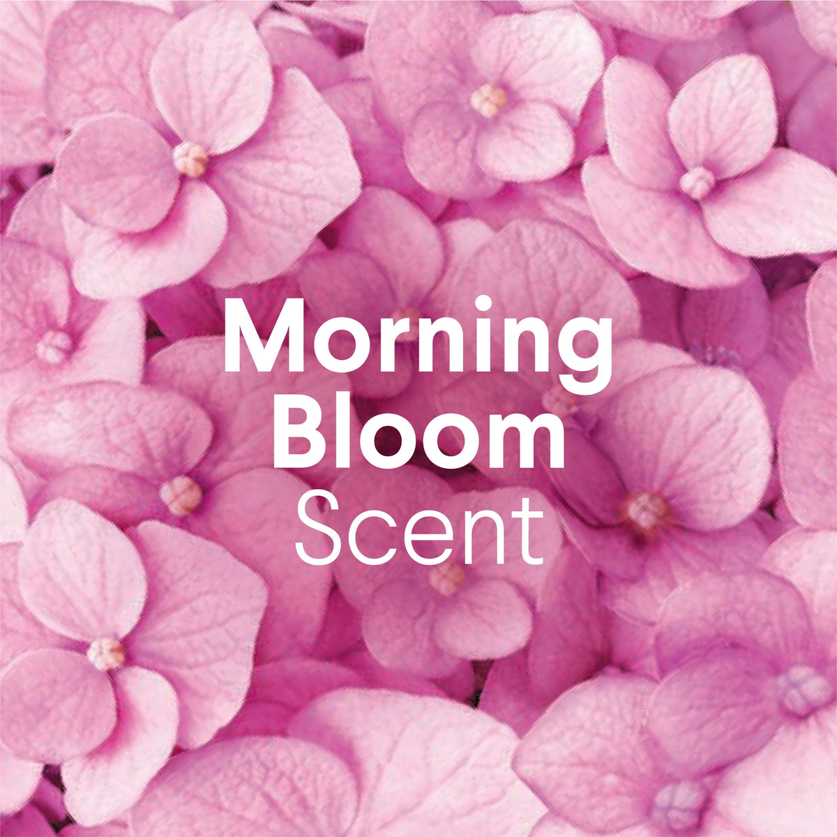 Clorox No Splash Bleach Morning Bloom 77 fl oz